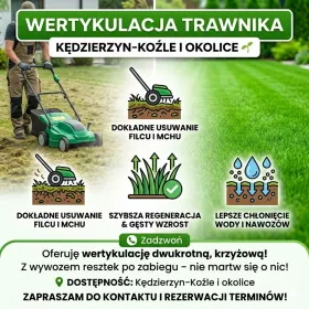 Usługa wertykulacji trawnika w Kędzierzynie-Koźlu | Koszenie Trawy